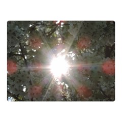 Sun Rays Through White Cherry Blossoms Double Sided Flano Blanket (mini)  by picsaspassion