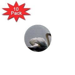 Swimming White Swan 1  Mini Magnet (10 Pack)  by picsaspassion