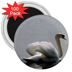 Swimming White Swan 3  Magnets (100 Pack)