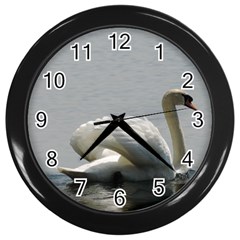 Swimming White Swan Wall Clocks (black) by picsaspassion