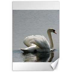 Swimming White Swan Canvas 20  X 30  