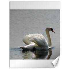 Swimming White Swan Canvas 36  X 48  