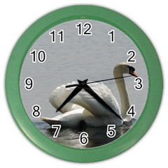 Swimming White Swan Color Wall Clocks by picsaspassion