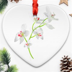 Isolated Orquideas Blossom Ornament (heart)  by dflcprints