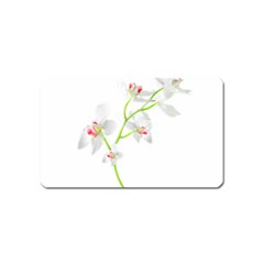 Isolated Orquideas Blossom Magnet (name Card) by dflcprints