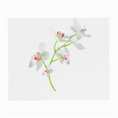 Isolated Orquideas Blossom Small Glasses Cloth by dflcprints