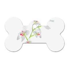 Isolated Orquideas Blossom Dog Tag Bone (one Side) by dflcprints