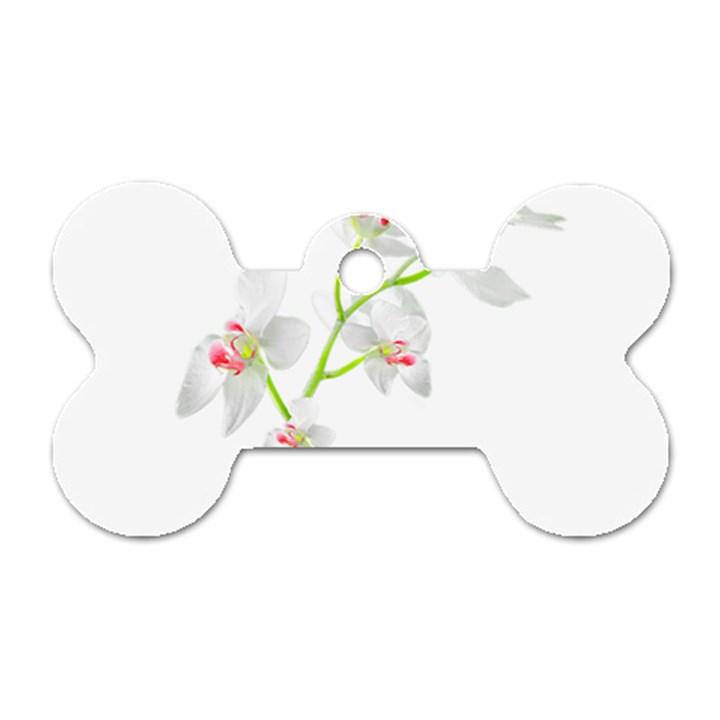 Isolated Orquideas Blossom Dog Tag Bone (One Side)