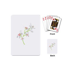 Isolated Orquideas Blossom Playing Cards (mini)  by dflcprints