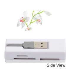 Isolated Orquideas Blossom Memory Card Reader (stick)  by dflcprints