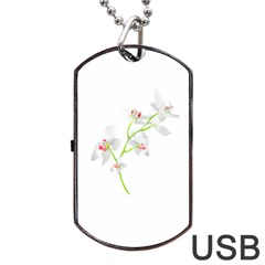 Isolated Orquideas Blossom Dog Tag Usb Flash (one Side) by dflcprints