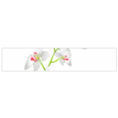 Isolated Orquideas Blossom Flano Scarf (small)  by dflcprints