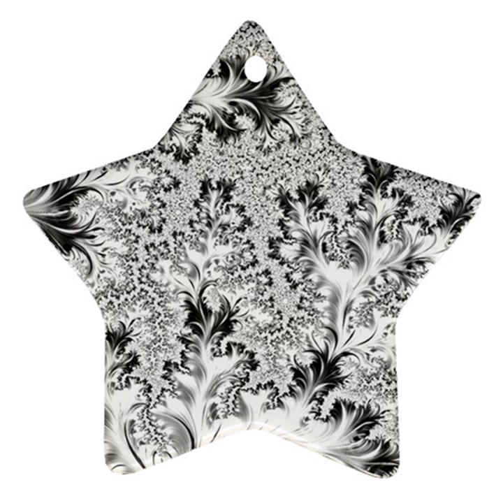 Amazing Fractal 31 A Star Ornament (Two Sides) 