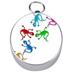 Colorful lizards Silver Compasses Front