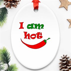 I Am Hot  Oval Ornament (two Sides) by Valentinaart