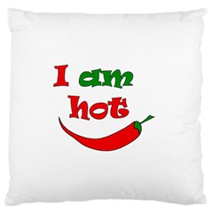 I Am Hot  Standard Flano Cushion Case (one Side) by Valentinaart