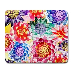 Colorful Succulents Large Mousepads by DanaeStudio