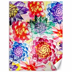 Colorful Succulents Canvas 18  X 24   by DanaeStudio