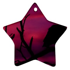 Vultures At Top Of Tree Silhouette Illustration Ornament (star)  by dflcprints