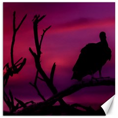 Vultures At Top Of Tree Silhouette Illustration Canvas 20  X 20   by dflcprints