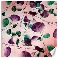 Spiral Eucalyptus Leaves Canvas 12  X 12   by DanaeStudio