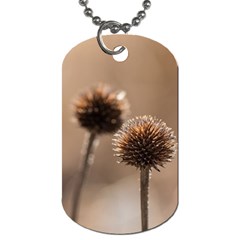 2  Verwelkte Kugeldistel Dog Tag (one Side) by wsfcow