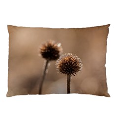 2  Verwelkte Kugeldistel Pillow Case (two Sides)