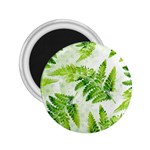 Fern Leaves 2.25  Magnets Front