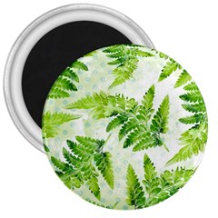 Fern Leaves 3  Magnets