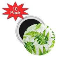 Fern Leaves 1.75  Magnets (10 pack) 