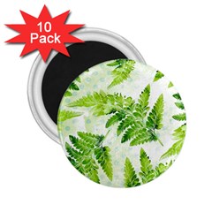 Fern Leaves 2 25  Magnets (10 Pack)  by DanaeStudio