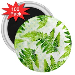 Fern Leaves 3  Magnets (100 pack)