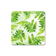 Fern Leaves Square Magnet