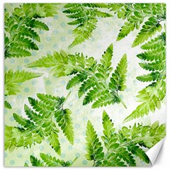 Fern Leaves Canvas 12  x 12  