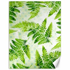 Fern Leaves Canvas 12  x 16  