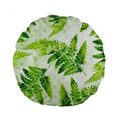 Fern Leaves Standard 15  Premium Round Cushions by DanaeStudio