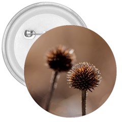 Withered Globe Thistle In Autumn Macro 3  Buttons by wsfcow