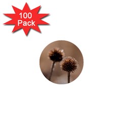 Withered Globe Thistle In Autumn Macro 1  Mini Buttons (100 Pack) 