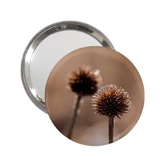 Withered Globe Thistle In Autumn Macro 2 25  Handbag Mirrors by wsfcow