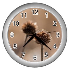 Withered Globe Thistle In Autumn Macro Wall Clocks (silver)  by wsfcow