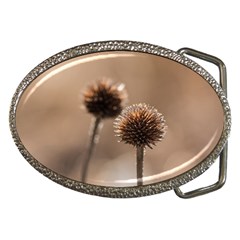 Withered Globe Thistle In Autumn Macro Belt Buckles by wsfcow