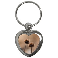 Withered Globe Thistle In Autumn Macro Key Chains (heart) 