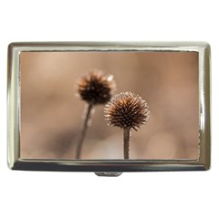 Withered Globe Thistle In Autumn Macro Cigarette Money Cases by wsfcow