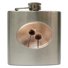 Withered Globe Thistle In Autumn Macro Hip Flask (6 Oz) by wsfcow