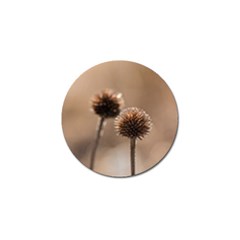 Withered Globe Thistle In Autumn Macro Golf Ball Marker by wsfcow