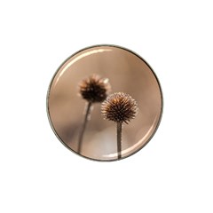 Withered Globe Thistle In Autumn Macro Hat Clip Ball Marker by wsfcow