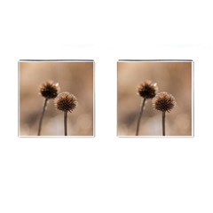 Withered Globe Thistle In Autumn Macro Cufflinks (square) by wsfcow