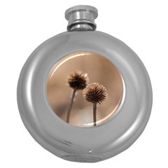 Withered Globe Thistle In Autumn Macro Round Hip Flask (5 Oz) by wsfcow