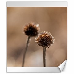 Withered Globe Thistle In Autumn Macro Canvas 20  X 24   by wsfcow