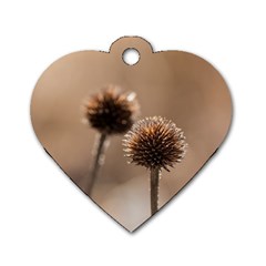 Withered Globe Thistle In Autumn Macro Dog Tag Heart (two Sides) by wsfcow